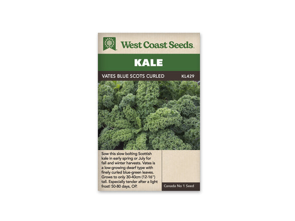 Kale — Vates Blue Curled Scotch