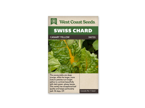 Swiss Chard — Canary Yellow