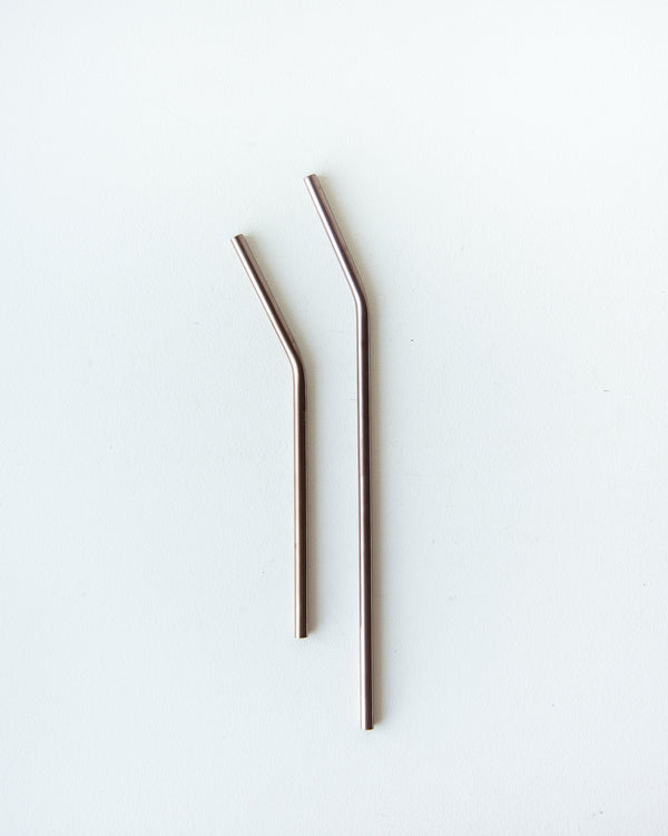 Stainless Steel Straws — Bronze