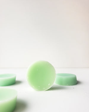 be BOLD Shampoo or Conditioner Bar (wild or curly hair) — Bottle None