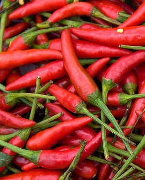Peppers — Chiles De Arbol Heirloom