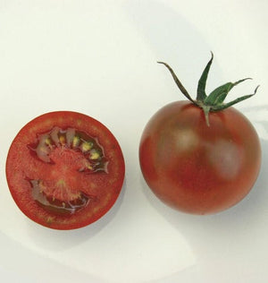 Tomatoes — Cherry, Sunchocola *Celine Favourite*