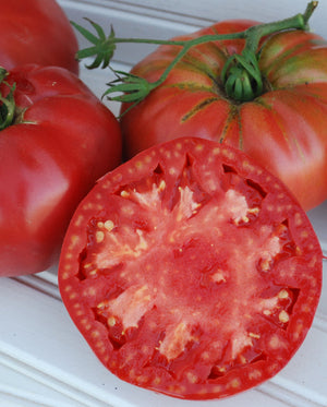 Tomatoes — Early Season Beefsteak, Pruden's Purple Heirloom Organic