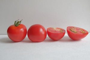Tomatoes — Campari, Early Maturing, Red Racer Organic