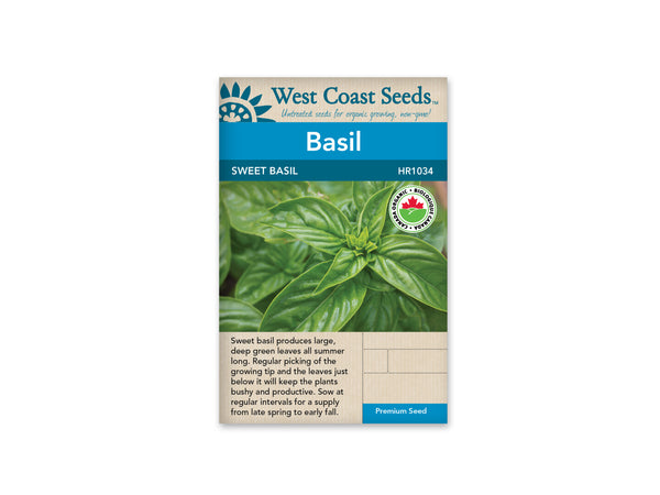 Basil — Sweet Basil Organic