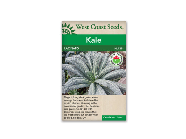 Kale — Lacinato Heirloom Organic