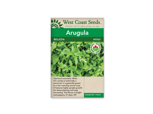 Arugula, Wild — Selvatica Heirloom Organic
