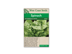 Spinach — Bloomsdale Savoy Heirloom