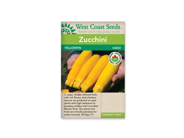 Zucchini Squash — Yellowfin Organic