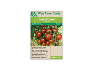 Tomatoes — Cherry, Sunchocola *Celine Favourite*