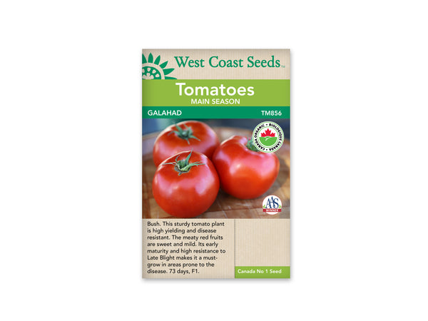 Tomatoes — Beefsteak, Galahad Organic