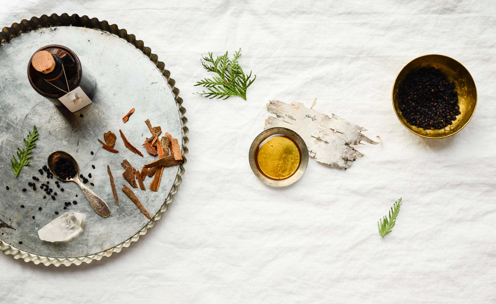 Boost Your Immunity with Elderberry Syrup