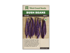 Beans (Bush Beans) — Celine