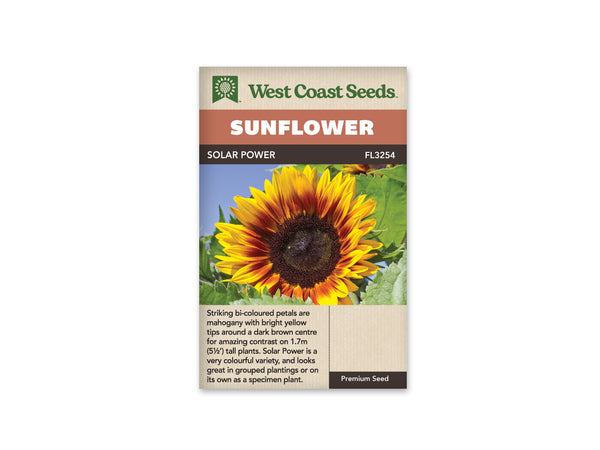 Sunflowers — Solar Power