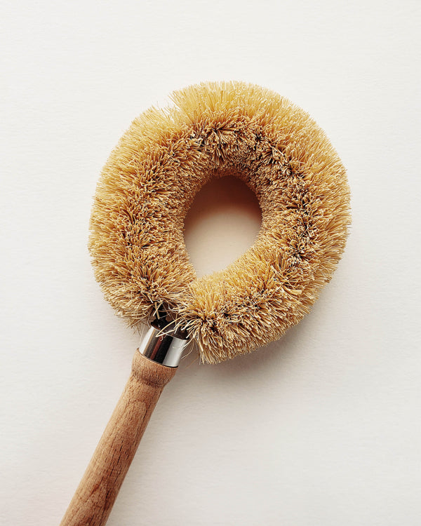 Dish Brush — Coconut