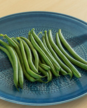 Beans (Pole Beans) — Seychelles Organic