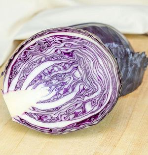 Cabbage — Integro Coated Organic
