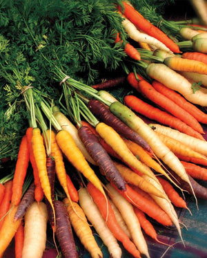 Carrots — Rainbow Blend