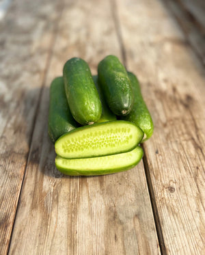 Cucumbers — Mini-Me Organic