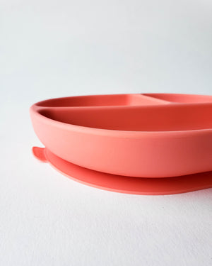 Divided Suction Plate, Coral — Ekobo