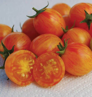 Tomatoes — Cherry, Sunrise Bumble Bee Organic