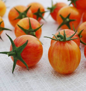 Tomatoes — Cherry, Sunrise Bumble Bee Organic