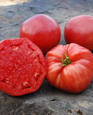 Tomatoes — Beefsteak, Mortgage Lifter Heirloom Organic