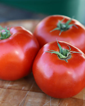 Tomatoes — Beefsteak, Galahad Organic