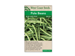 Beans (Pole Beans) — Blue Lake