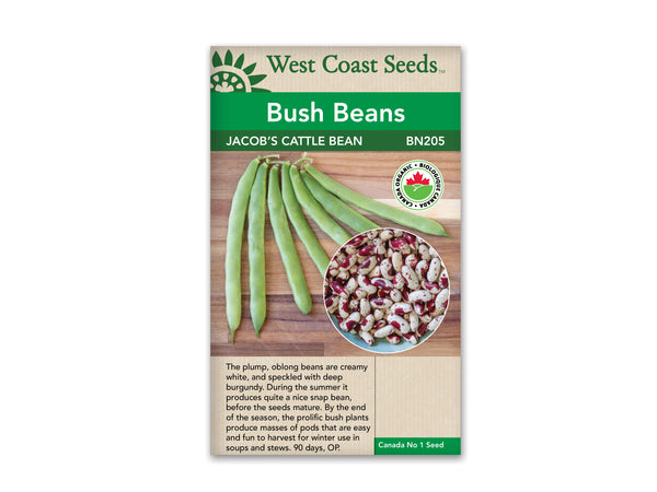 Beans — Jacob's Cattle Bean Heirloom Organic