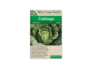 Cabbage — Capriccio Savoy