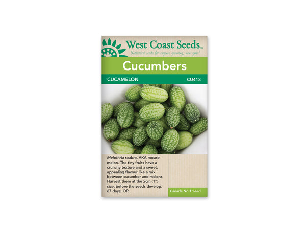 Cucumbers — Cucamelon