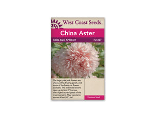 Aster — King Size Apricot