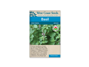 Basil — Holy Basil Organic
