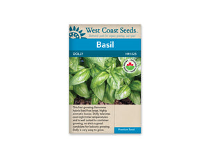 Basil — Dolly Basil Organic