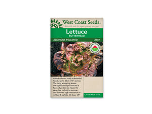 Lettuce — Butterhead, Alkindus Organic
