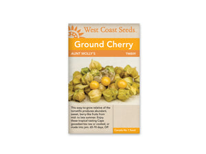 Ground Cherry — Aunt Molly's Heirloom