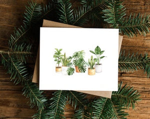 Spruce and Olive Christmas Cards